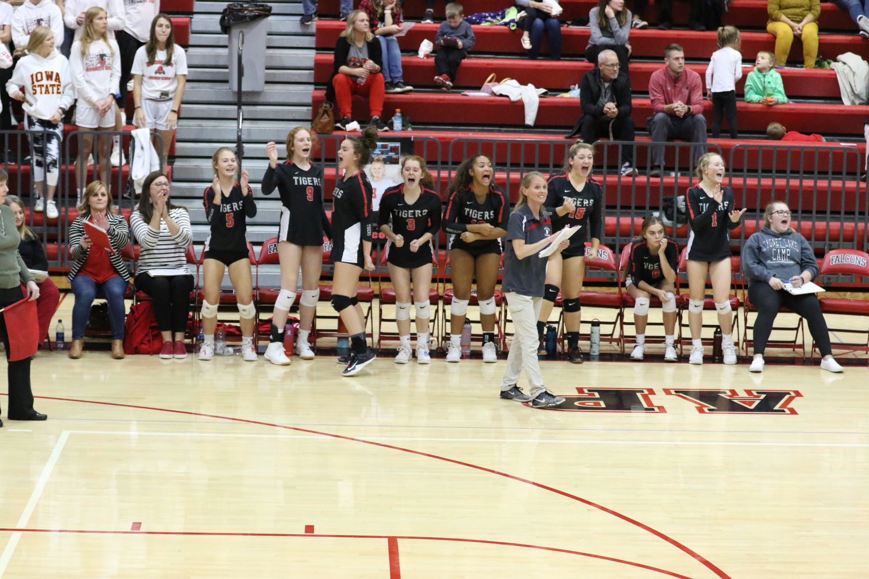 Bench_376.JPG